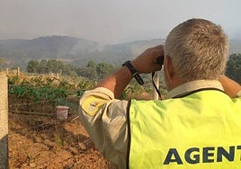 Imagen de archivo de un agente del Medio Natural observando la evolución de un incendio.