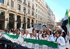 Técnicos superiores sanitarios extremeños durante la manifestación celebrada en Madrid el pasado lunes.