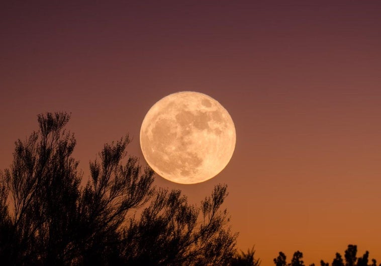 La Superluna del Castor: el gran espectáculo lunar de 2025 que llega esta noche