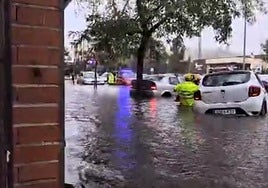 Imagen captada junto a la estación de autobuses de Cáceres.
