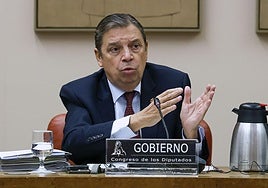 Premio para los mejores aceites de oliva virgen extra 2025-2026