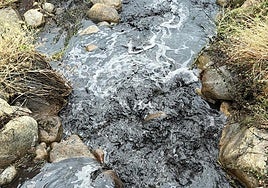 Fotos | Ríos con el agua negra por las cenizas de los incendios