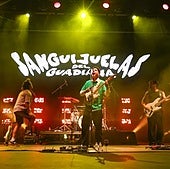 Sanguijuelas del Guadiana: dos conciertos en Badajoz y otros dos en Cáceres la próxima semana