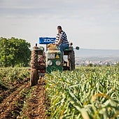 Una plataforma para conectar a la cadena alimentaria