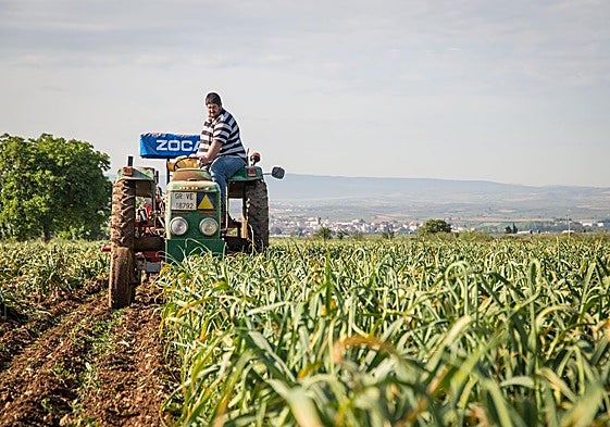 Una plataforma para conectar a la cadena alimentaria