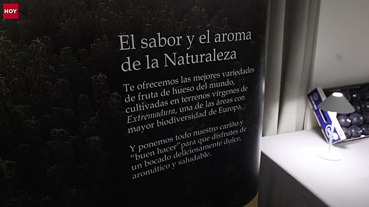 Tany Nature, una historia de raíces, esfuerzo y visión