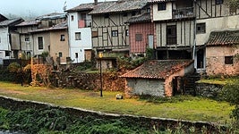 La Junta asegura que el arrastre de cenizas del incendio de Jarilla no ha provocado muertes de peces