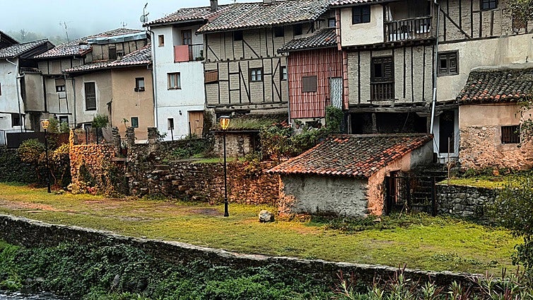 La Junta asegura que el arrastre de cenizas del incendio de Jarilla no ha provocado muertes de peces