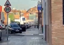 Imagen captada por una vecina de San Roque en la que se ve una rata.