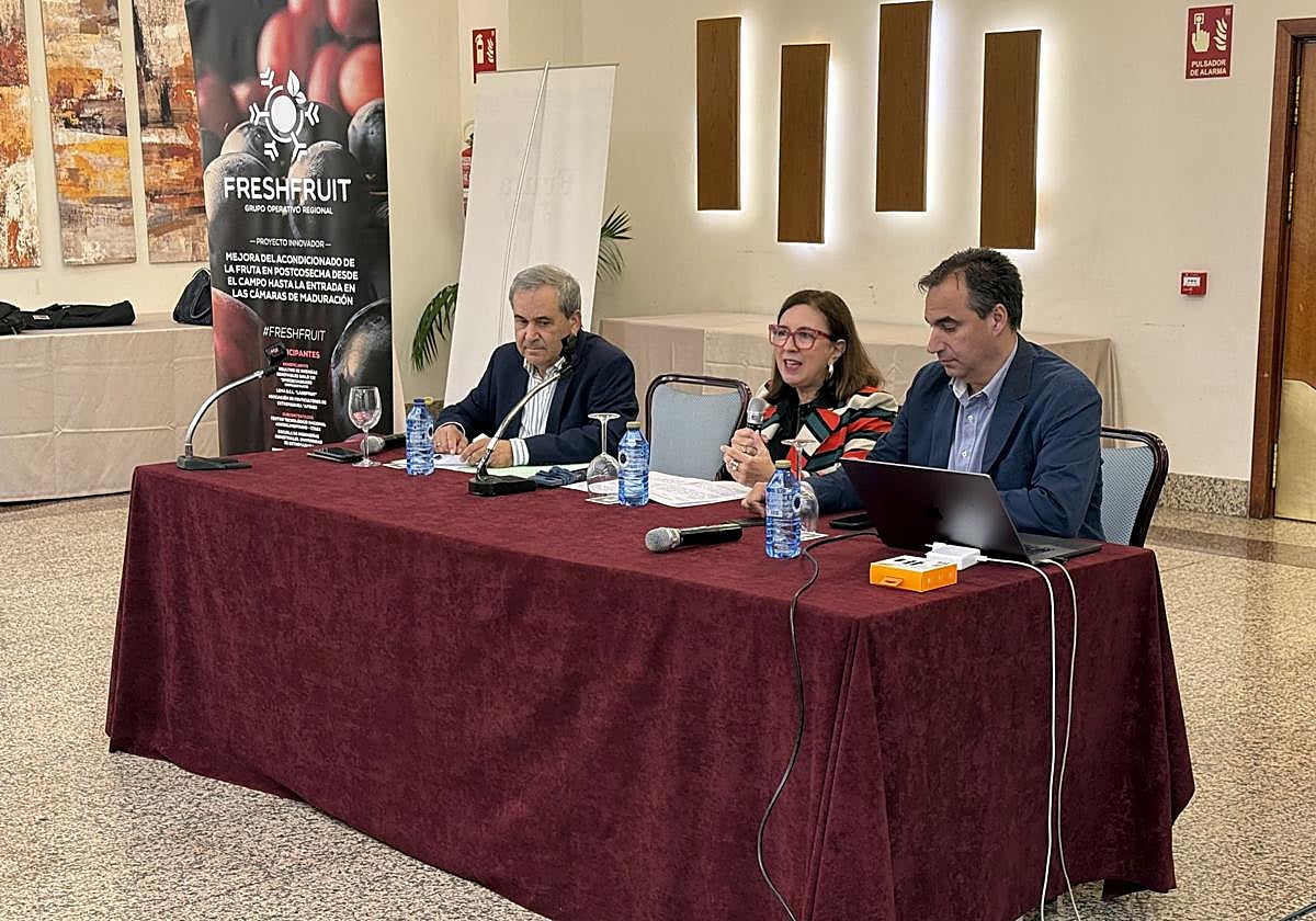 Alaban la capacidad del sector hortofrutícola para innovar