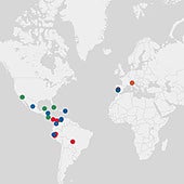 Ciudades del mundo con el mismo nombre