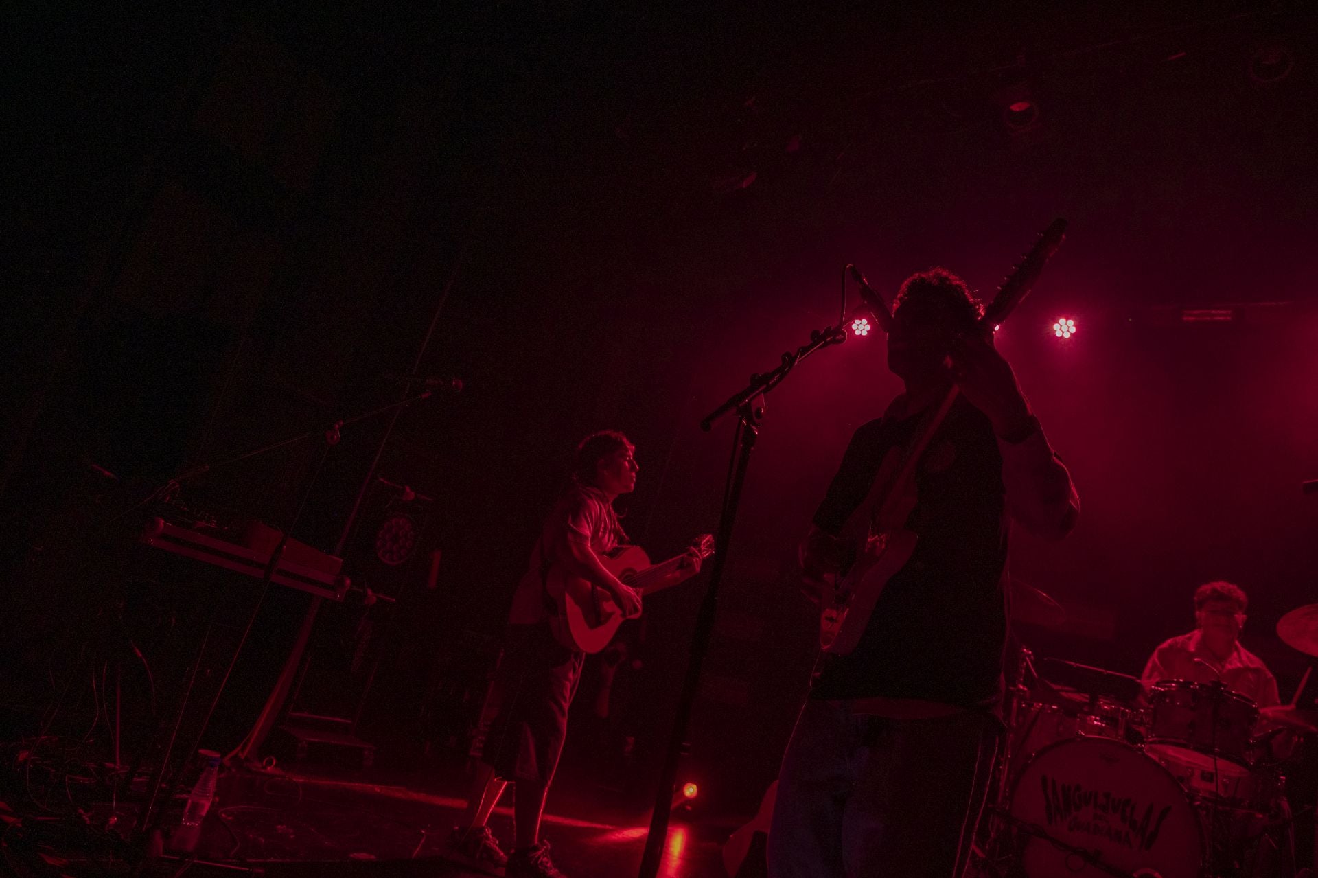 Concierto de Sanguijuelas del Guadiana en Badajoz