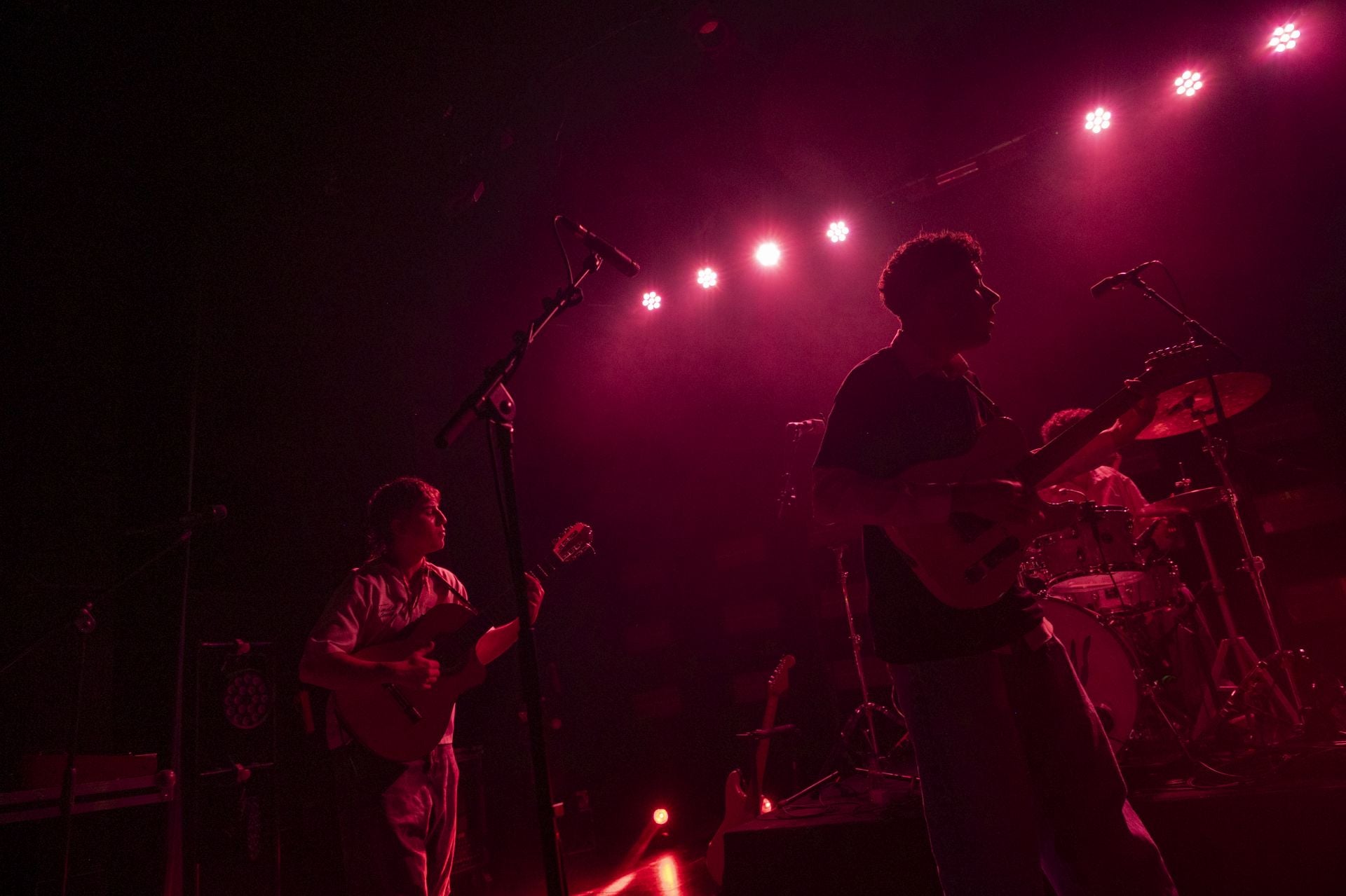 Concierto de Sanguijuelas del Guadiana en Badajoz