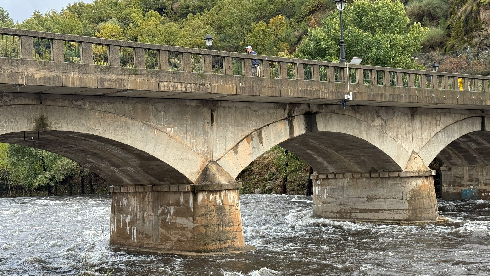 Fotos | Crecida del río Jerte a su paso por Navaconcejo