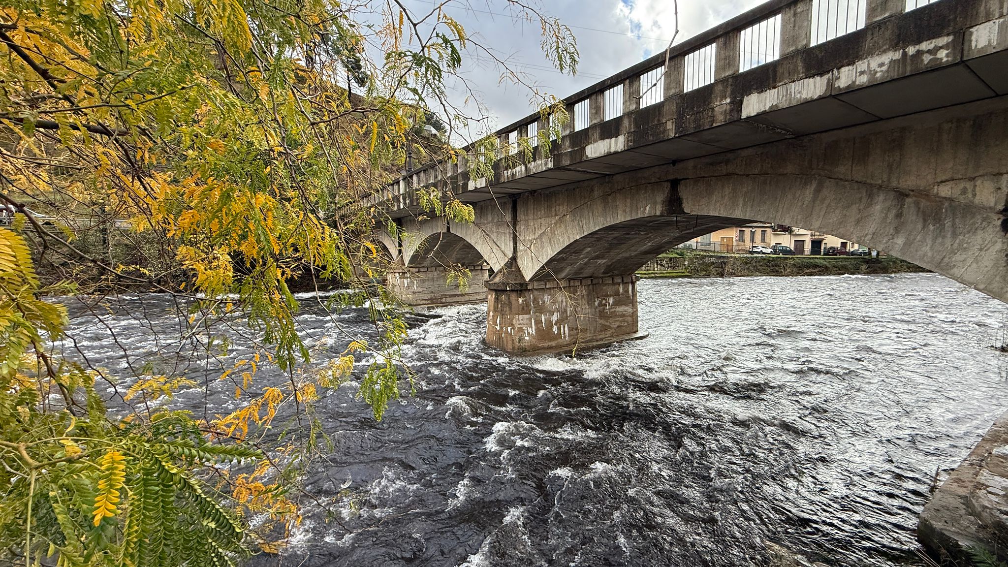 Fotos | Crecida del río Jerte a su paso por Navaconcejo