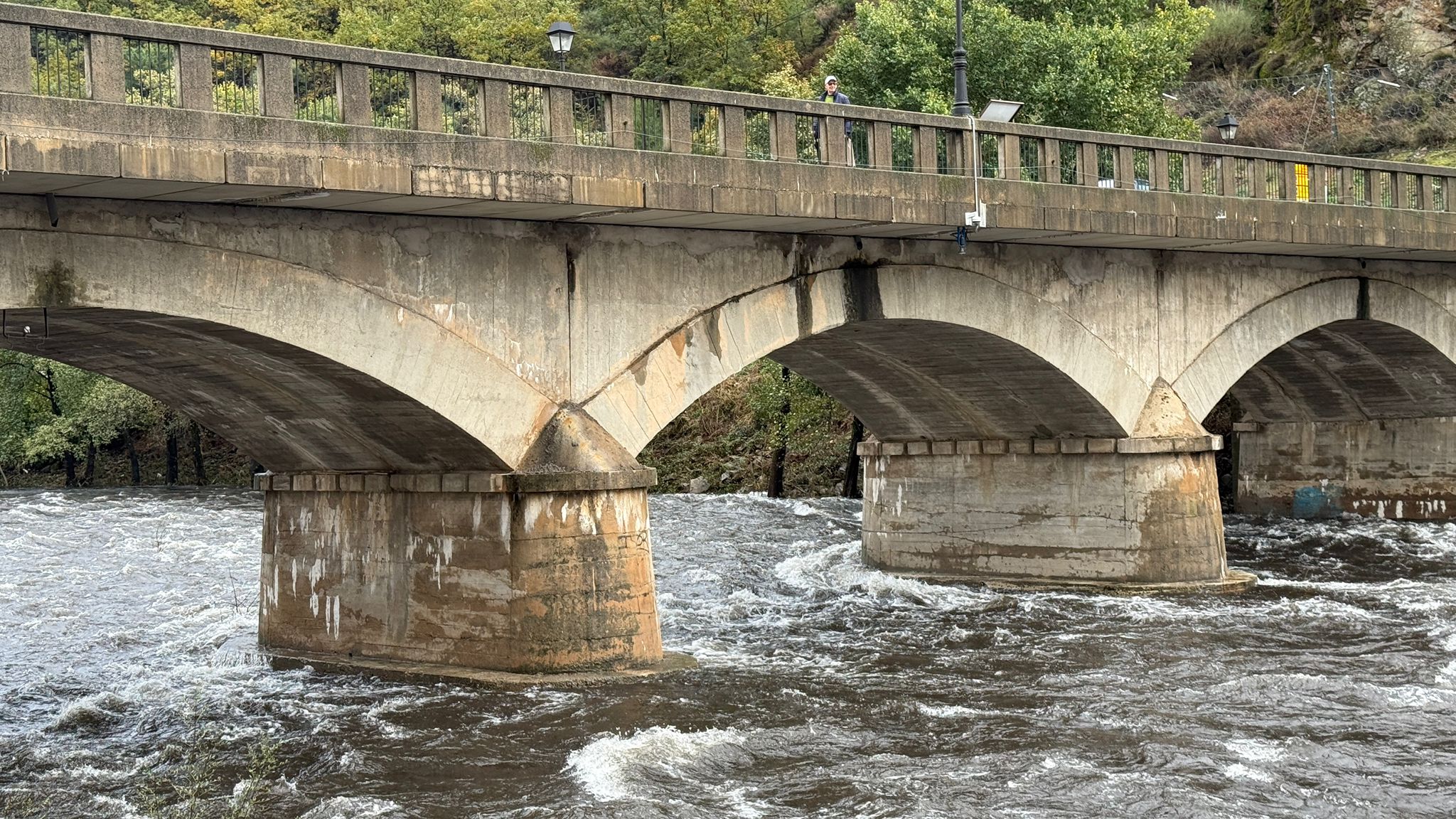 Fotos | Crecida del río Jerte a su paso por Navaconcejo