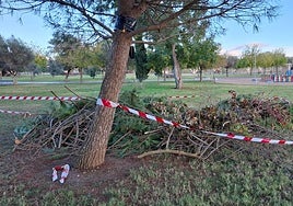 Un pino caído en el parque del río ha sido troceado este lunes.