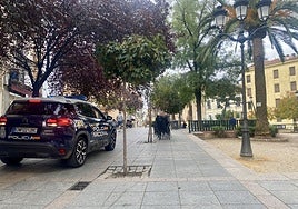 Foto de presencia policial en la plaza de la Concepción el pasado verano.