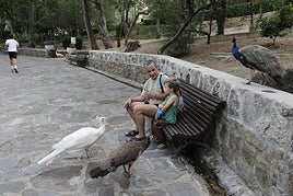 Los bancos más deteriorados del parque de Los Pinos serán sustituidos.