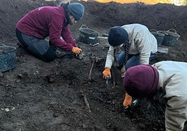 Trabajos de excavación en la fosa de Fuentes de León, esta mañana.