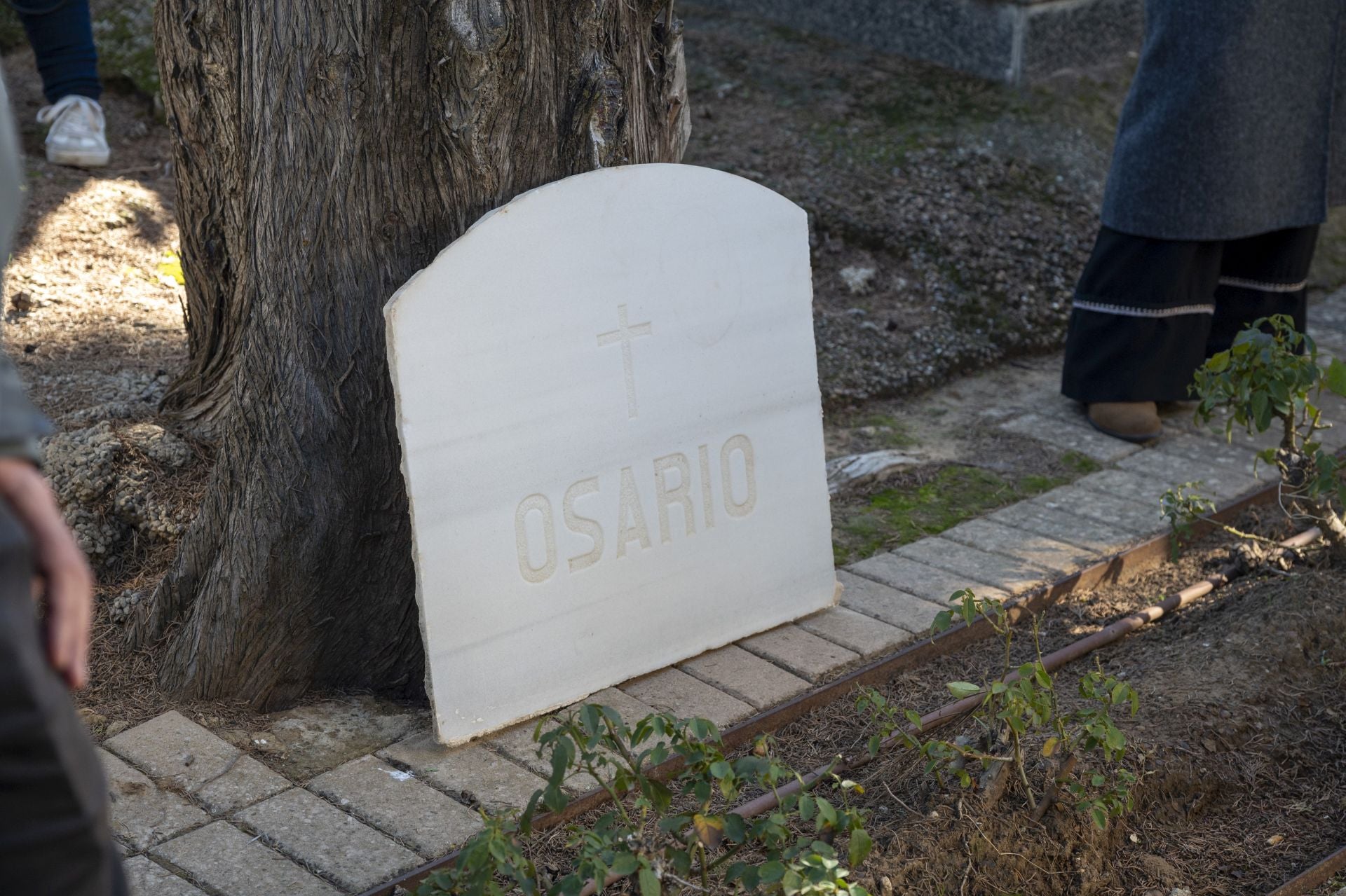 Fotos | La familia de Manuel Guillén Expósito inhuma sus restos en el cementerio de San Juan de Badajoz