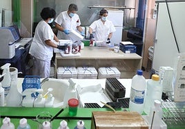 Imagen de archivo de profesionales del hospital de Mérida.