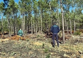 Imágenes del simulacro desarrollado este martes.