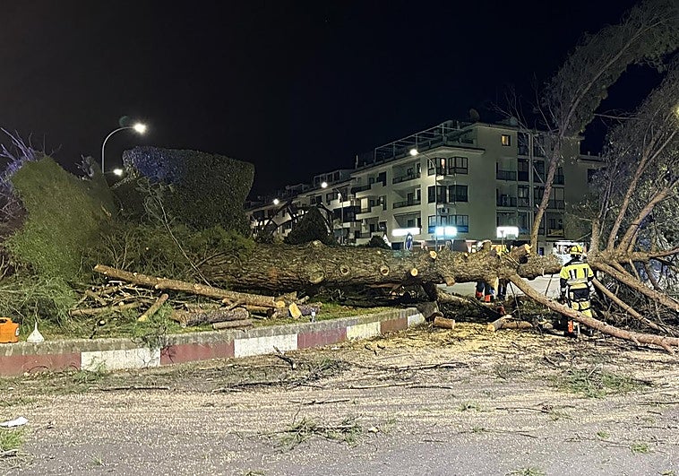 ¿Qué ha pasado este domingo, 30 de noviembre, en Extremadura?