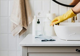 Qué ha pasado con las ayudas de 480 euros a amas de casa: ¿se puede seguir solicitando la RAI?