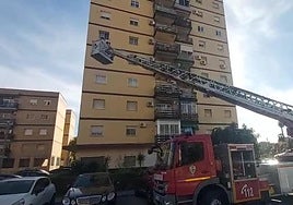 Maniobra de los bomberos para retirare el panal de avispas de la fachada del edificio.