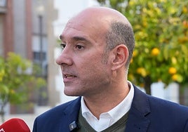 «El adelanto electoral es por la pinza del PSOE con Vox», dice Sánchez Juliá