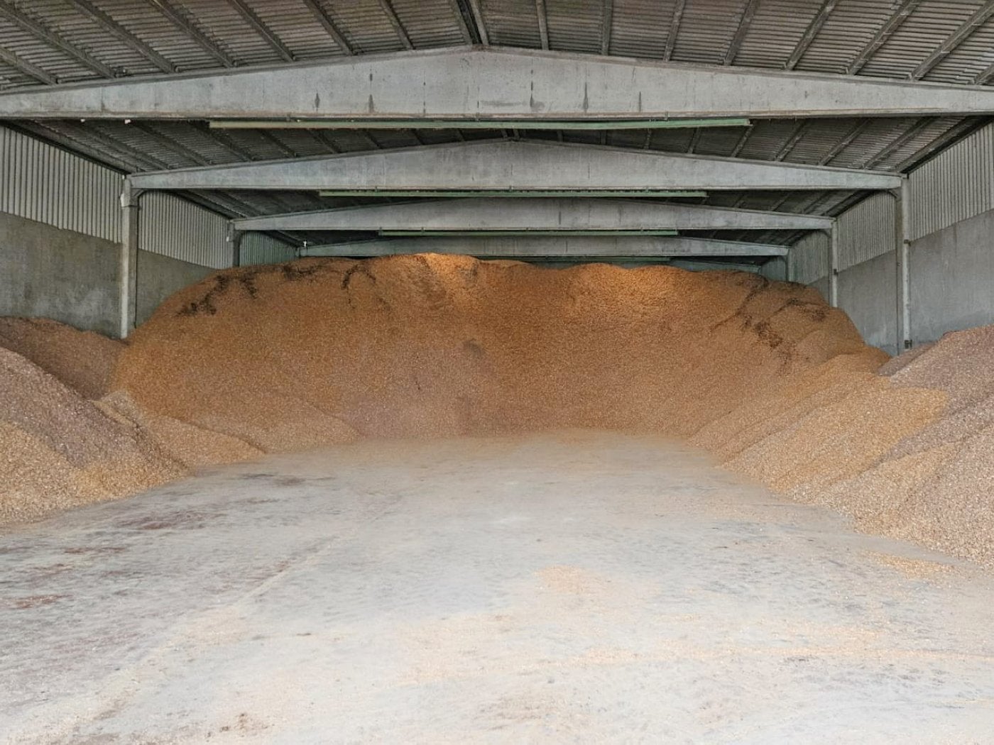 Almacén de cáscara de almendra de Tentubío.