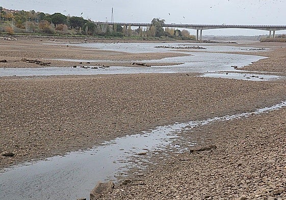 Imagen del río Guadiana en las proximidades del recinto ferial de Mérida, este jueves.
