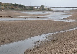 Imagen del río Guadiana en las proximidades del recinto ferial de Mérida, este jueves.