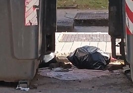 Ratas en una calle de Suerte de Saavedra.