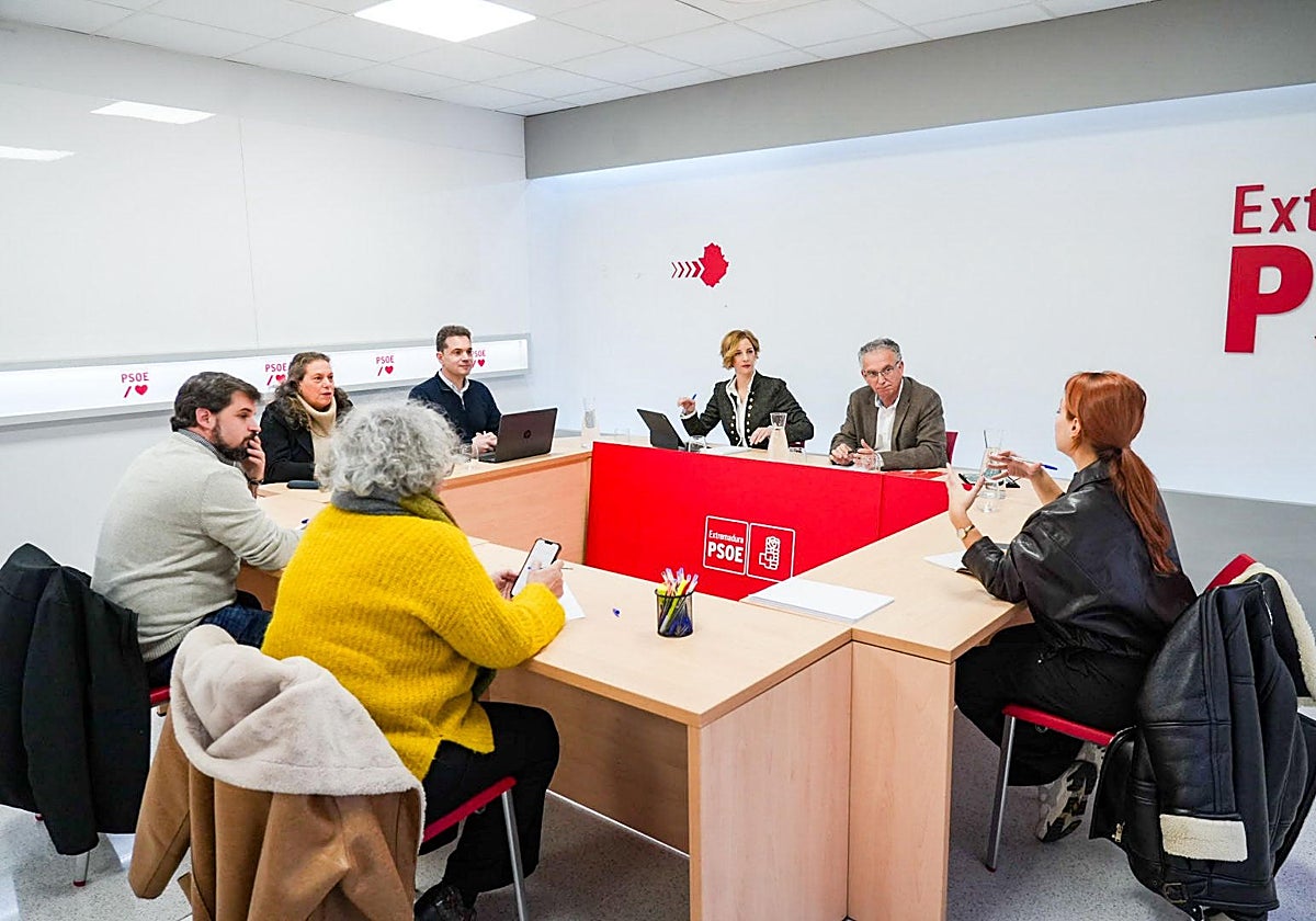 Reunión de la gestora que dirige el PSOE de Extremadura.