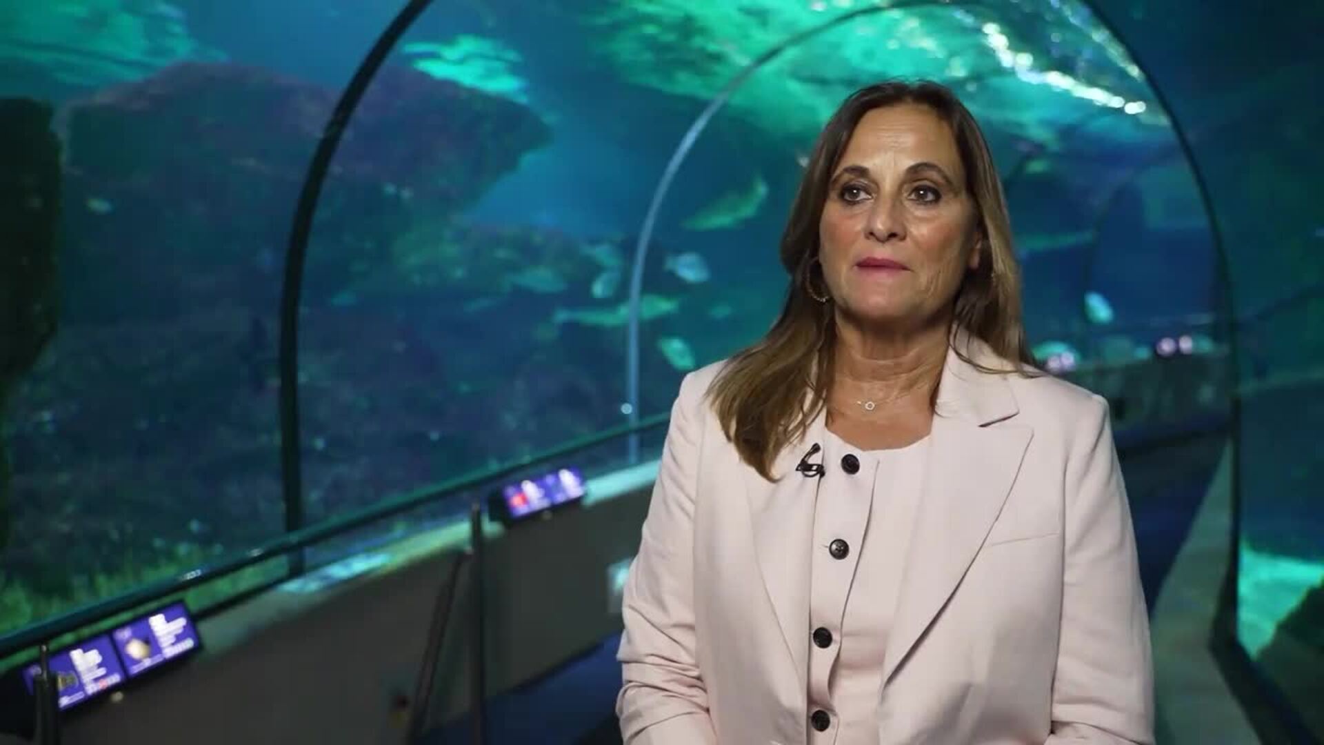 L’Aquàrium de Barcelona se transforma en su 30 aniversario