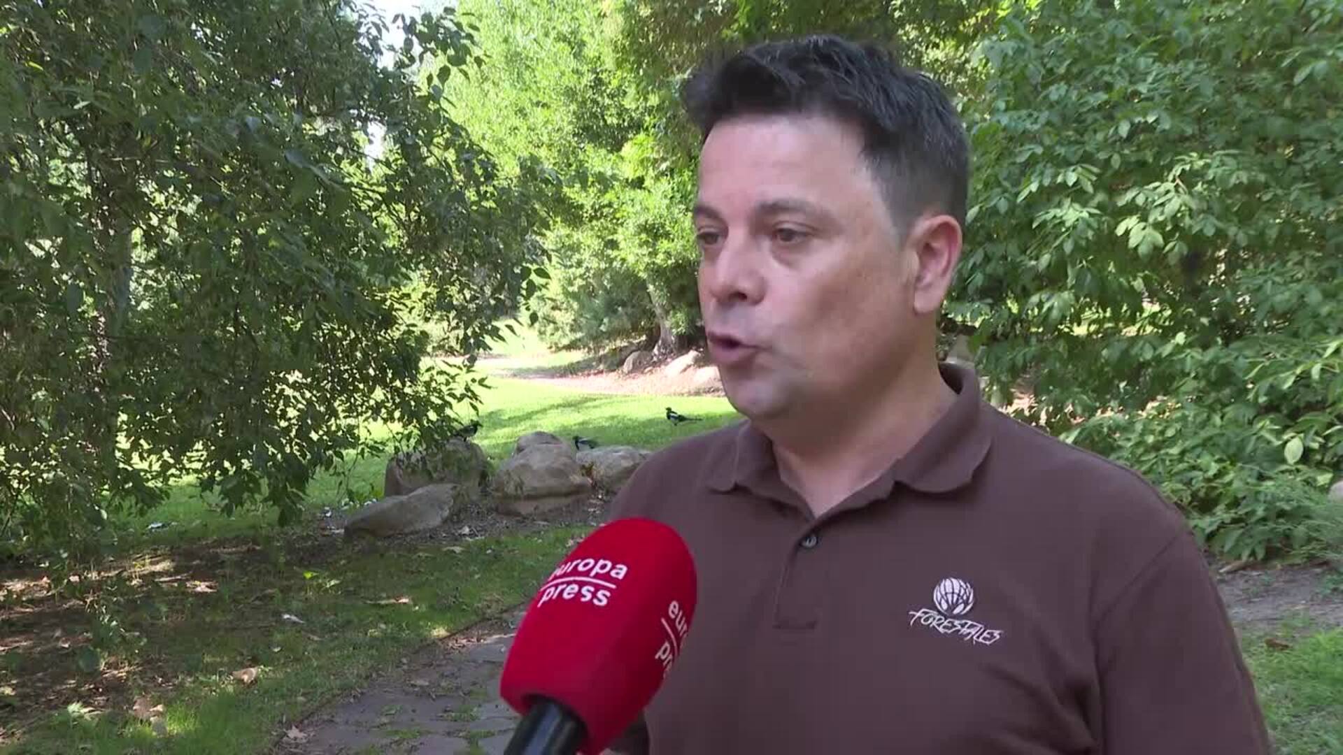 Ingenieros forestales alertan de que los incendios se agravan por las olas de calor