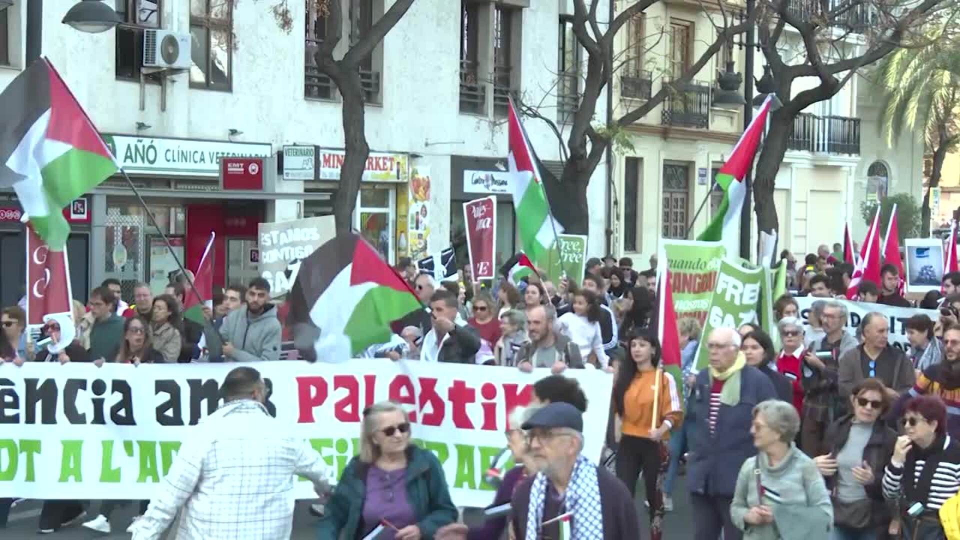 Australia reconocerá el Estado de Palestina en la Asamblea General de la ONU en septiembre