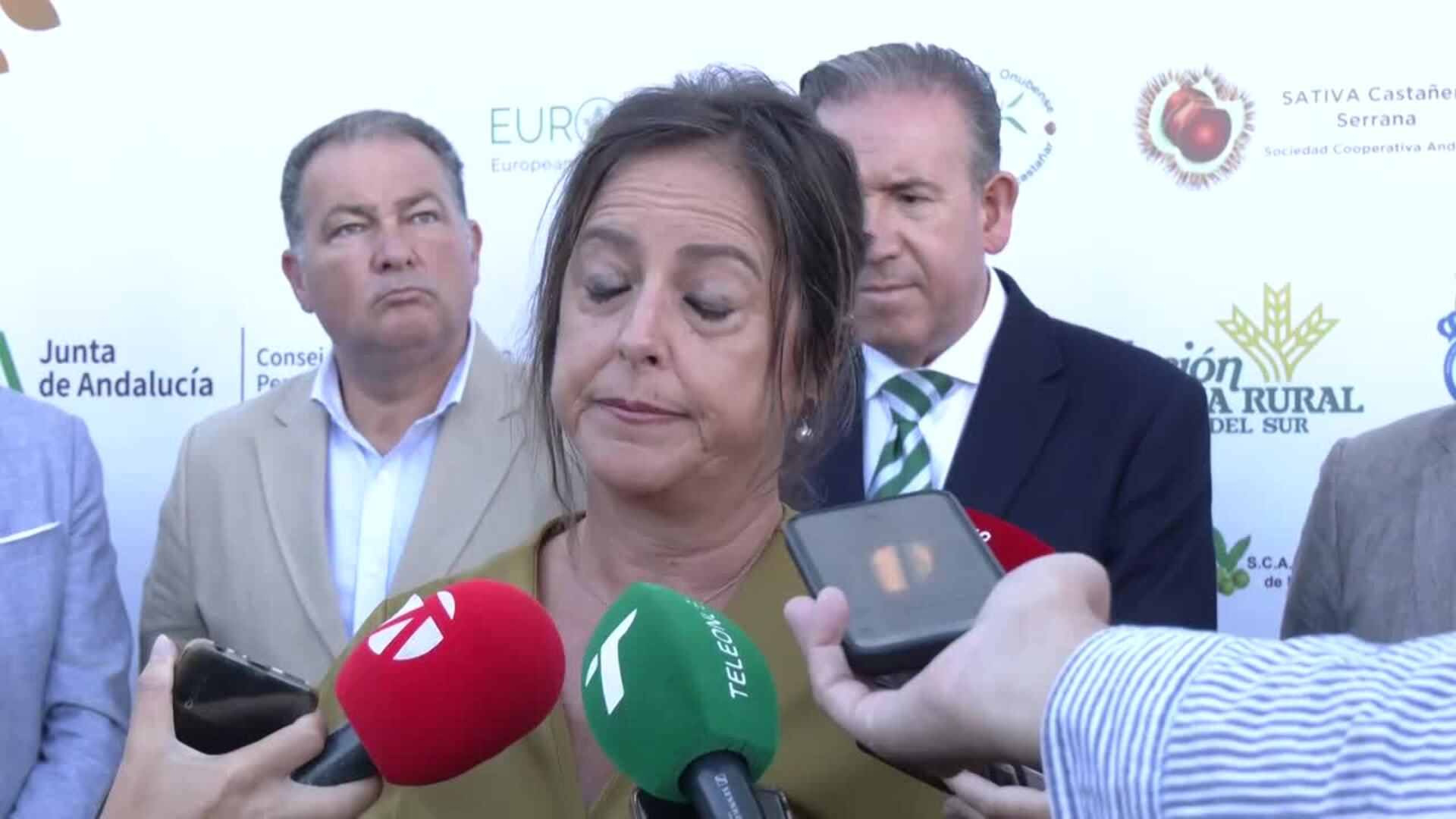 La Junta defiende la rentabilidad del castañar como "garantía de futuro" para este ecosistema