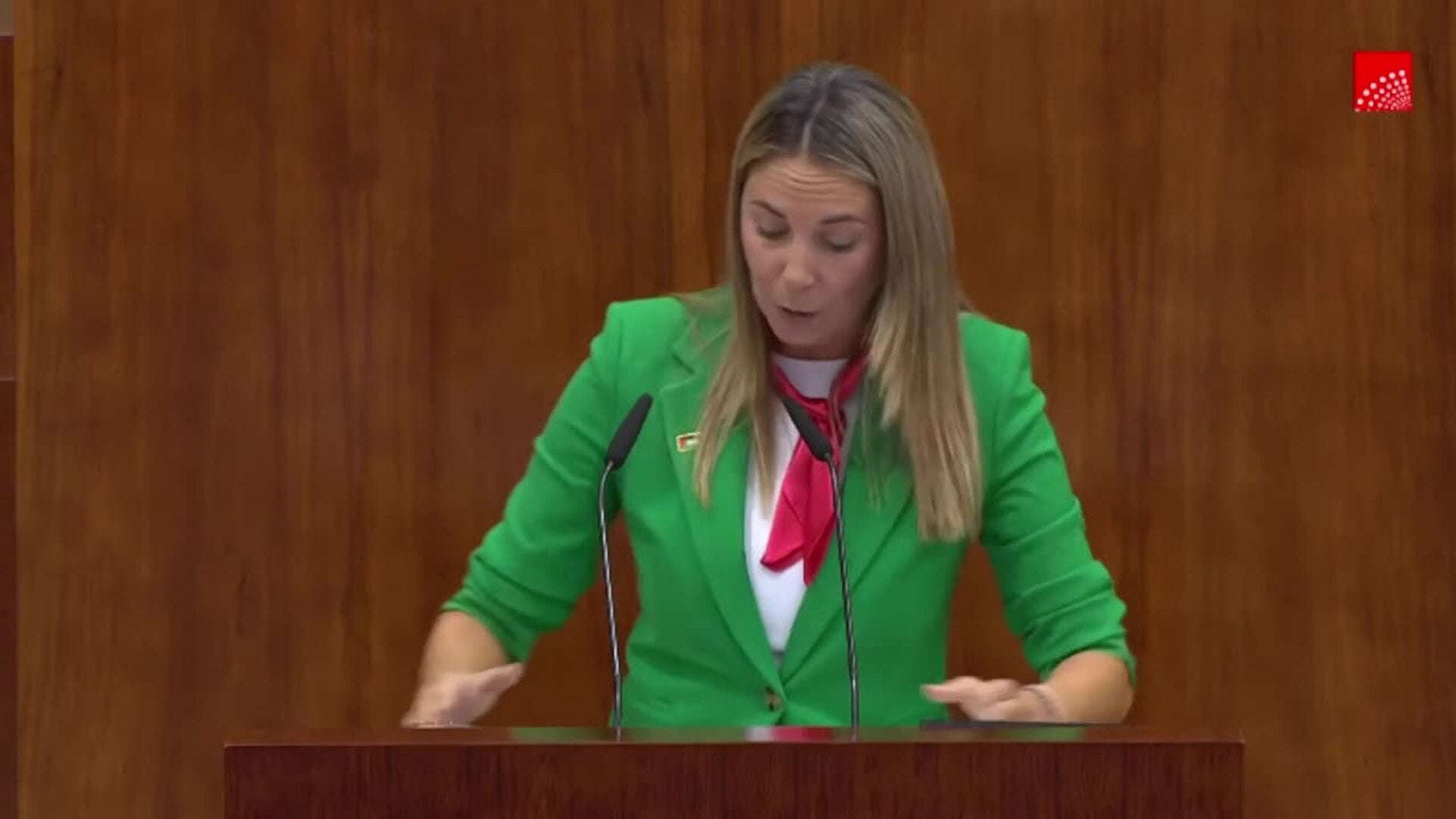PSOE-M exige a la "conseguidora" Ayuso dimitir por mentir sobre el caso de su novio