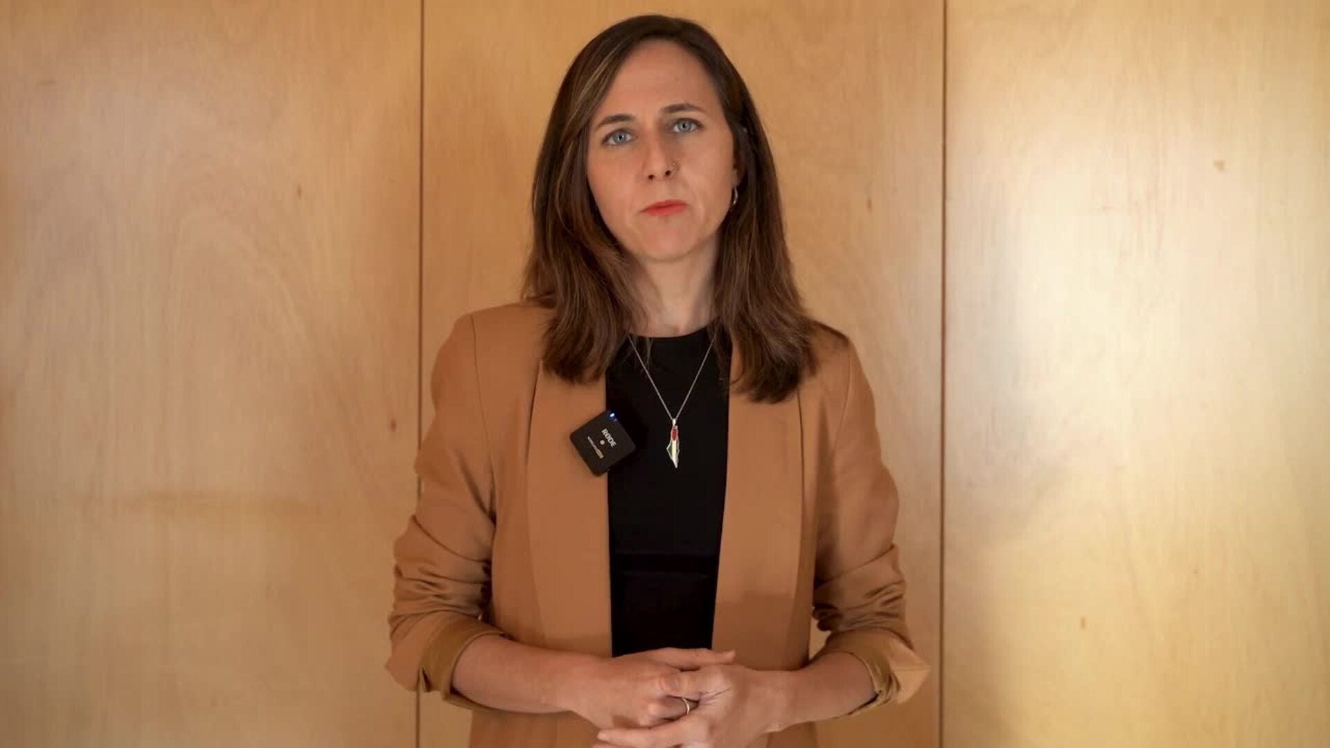 Podemos anuncia que votará a favor de la convalidación del decreto de embargo de armas