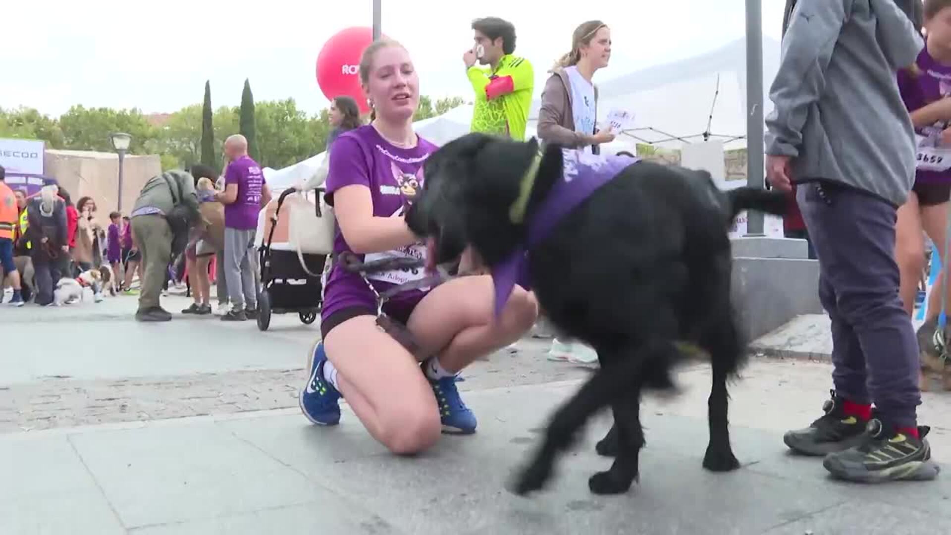 Más de 5.000 participantes corren el Perrotón Madrid 2025 contra el abandono y maltrato animal