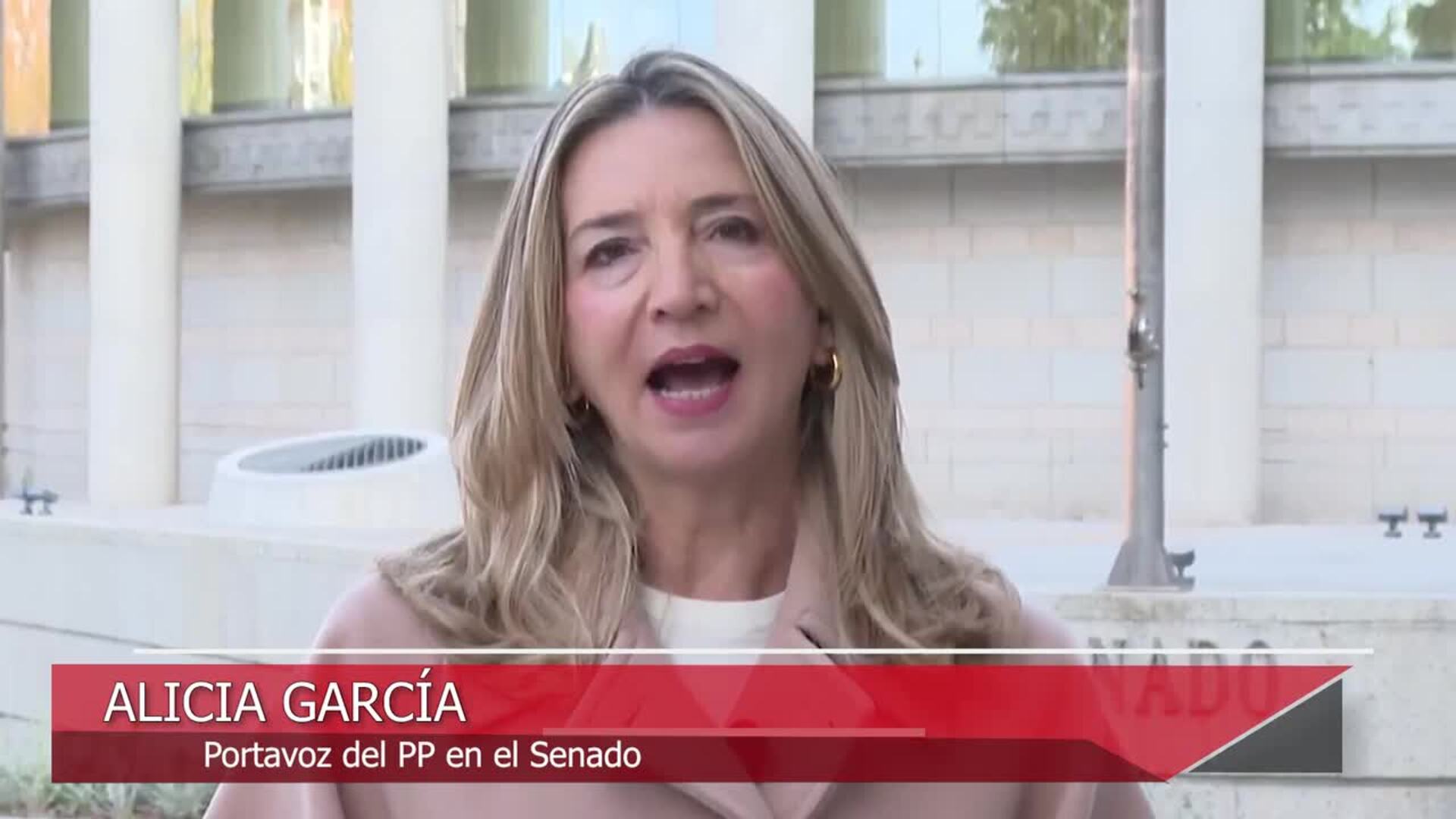 El 'caso Salazar' llega al Senado: El PP citará a Paco Salazar a la comisión del 'caso Koldo'