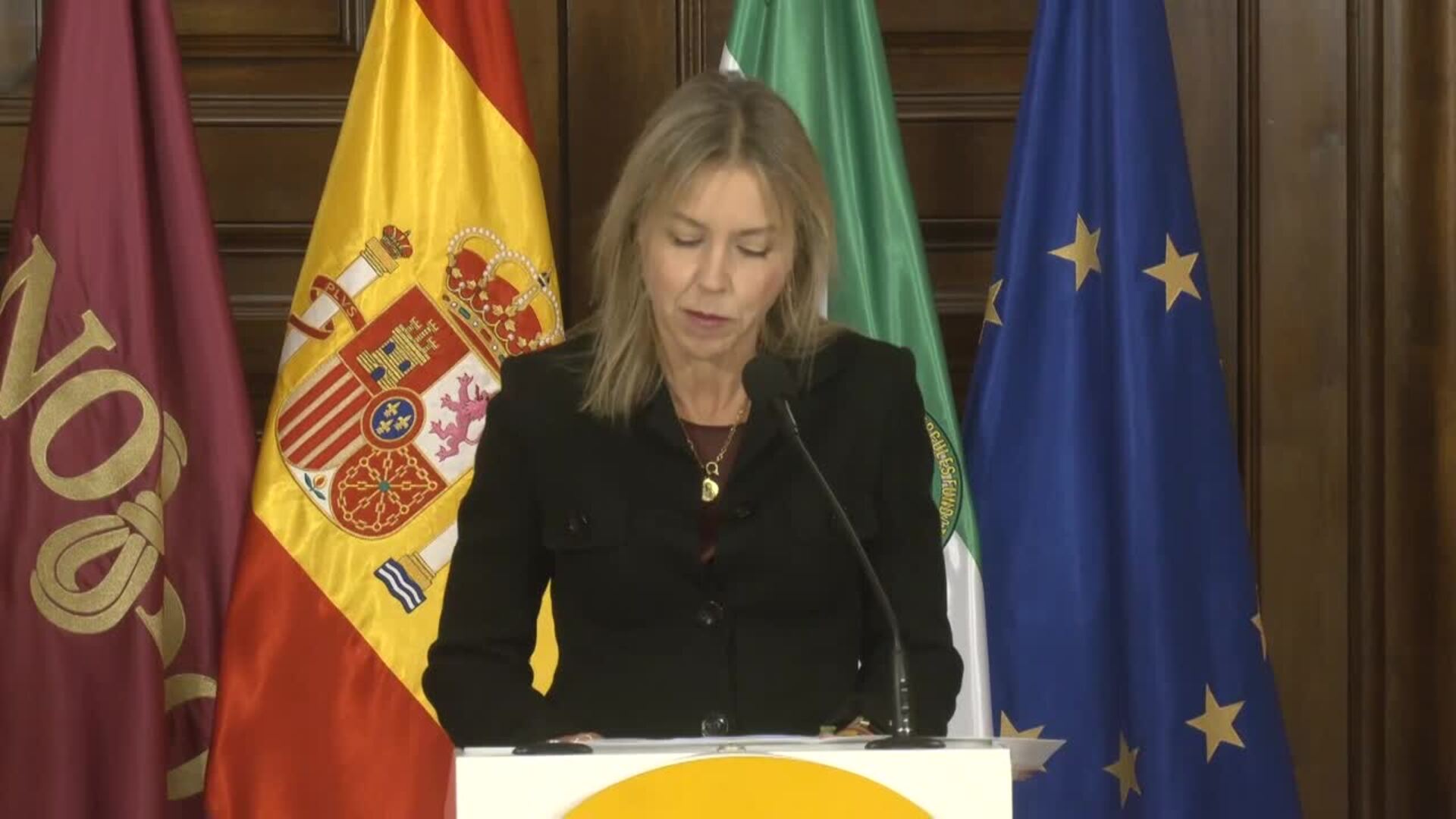 PP y Vox pactan reforzar el control del padrón y reducir la ZBE para presupuestos en Sevilla