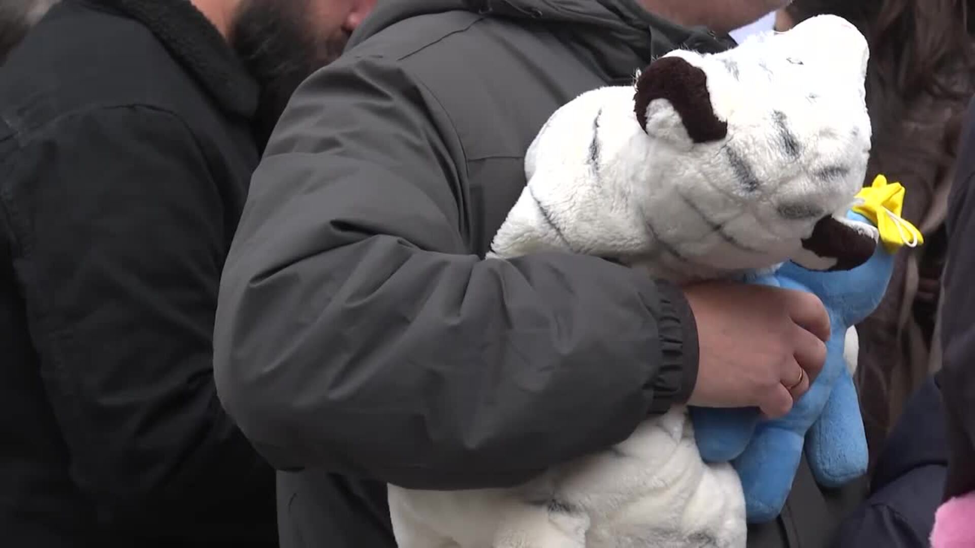 Fundación Madrina recibe una "lluvia de peluches" en el Movistar Arena de Madrid