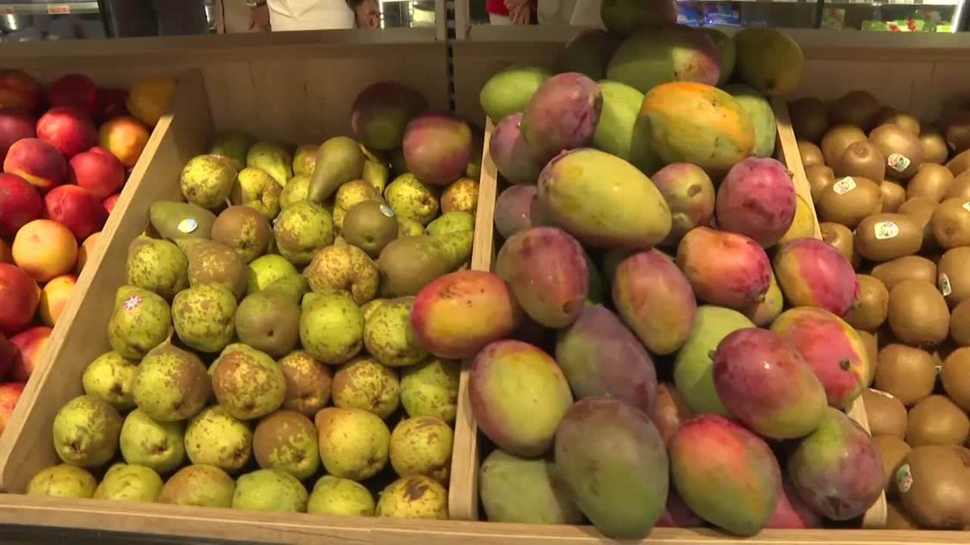 El apagón y los incendios forestales, los temas sociales que protagonizaron 2025