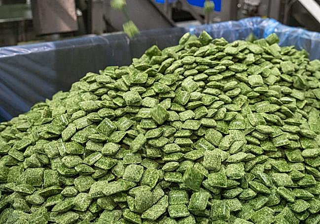 El formato pastilla es uno de los que produce la planta.