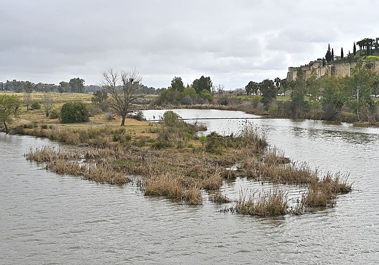 El Pico de Badajoz se reinventa en zona de conciertos