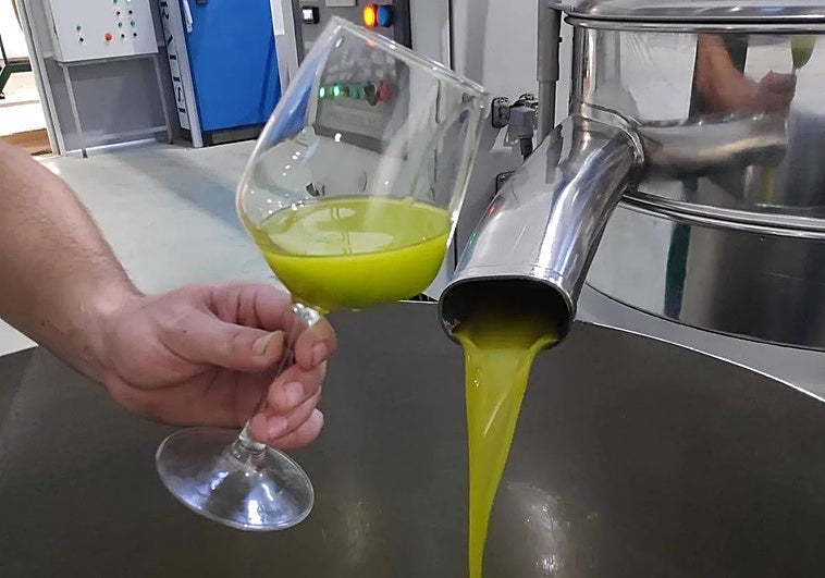 Las empresas extremeñas exportan unos 600.000 euros al año a Venezuela